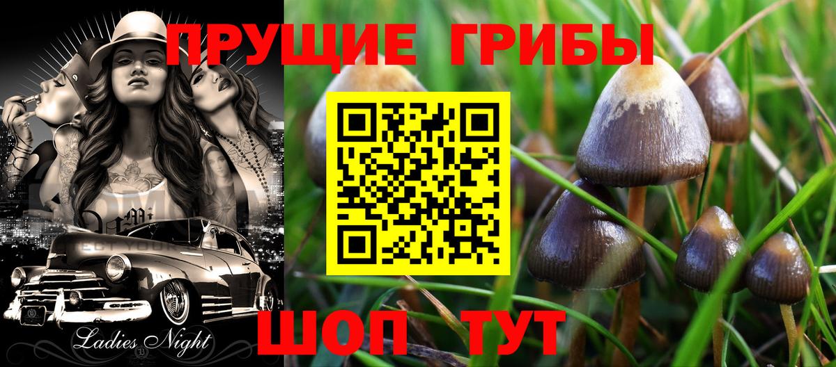 Псилоцибиновые грибы Magic Shrooms  Галлюциногенные грибы Magic Shrooms  Вход с VPN  Норильск 